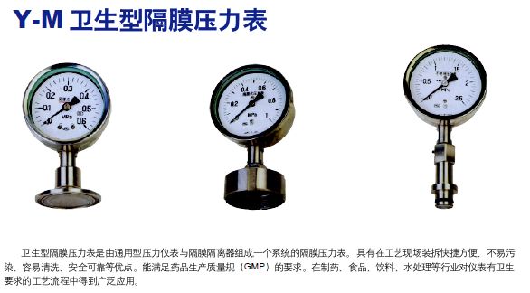 南京衛(wèi)生型隔膜壓力表 專業(yè)選擇與市場行情解析